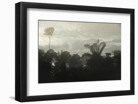 Tiputini River Scenic, Yasuni NP, Amazon Rainforest, Ecuador-Pete Oxford-Framed Photographic Print