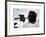 Tire d'Ailes, 1956-Georges Braque-Framed Art Print