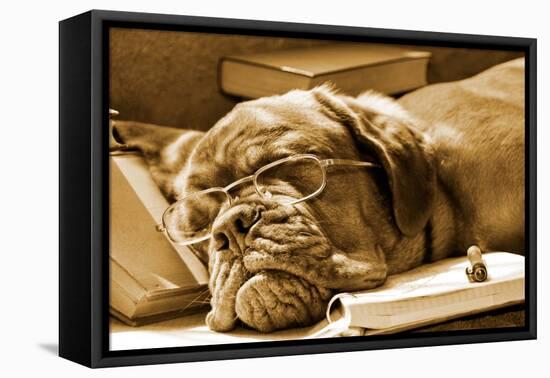 Tired Dog Sleeping At Her Lessons In Sepia Tone-vitalytitov-Framed Premier Image Canvas