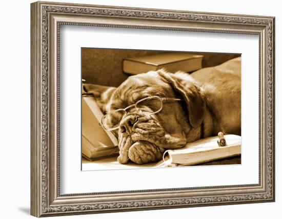 Tired Dog Sleeping At Her Lessons In Sepia Tone-vitalytitov-Framed Photographic Print