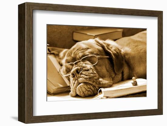 Tired Dog Sleeping At Her Lessons In Sepia Tone-vitalytitov-Framed Photographic Print