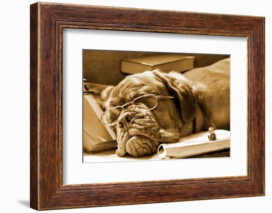 Tired Dog Sleeping At Her Lessons In Sepia Tone-vitalytitov-Framed Photographic Print