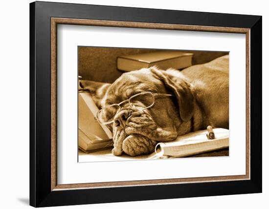 Tired Dog Sleeping At Her Lessons In Sepia Tone-vitalytitov-Framed Photographic Print