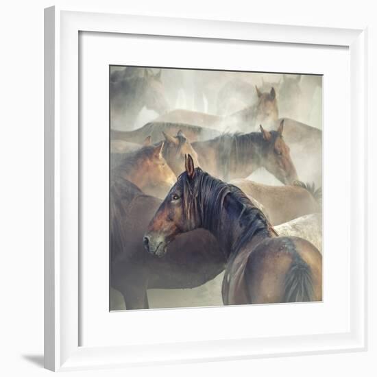 Tired Horses-Huseyin Ta?k?n-Framed Giclee Print