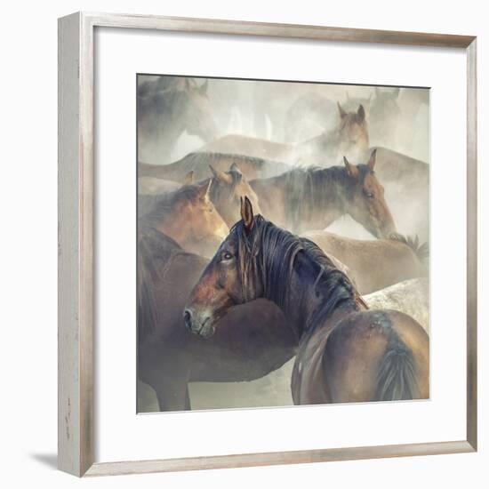 Tired Horses-Huseyin Ta?k?n-Framed Giclee Print