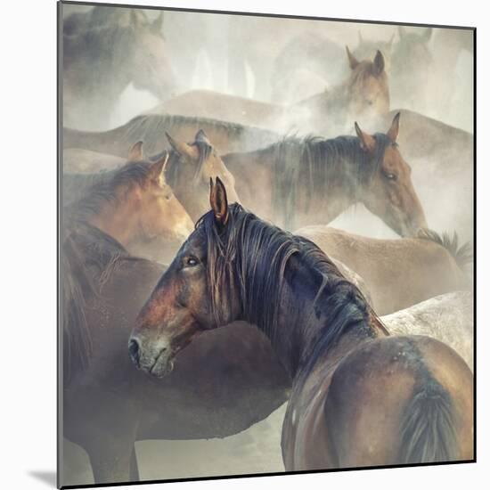Tired Horses-Huseyin Ta?k?n-Mounted Giclee Print