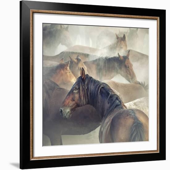 Tired Horses-Huseyin Ta?k?n-Framed Giclee Print