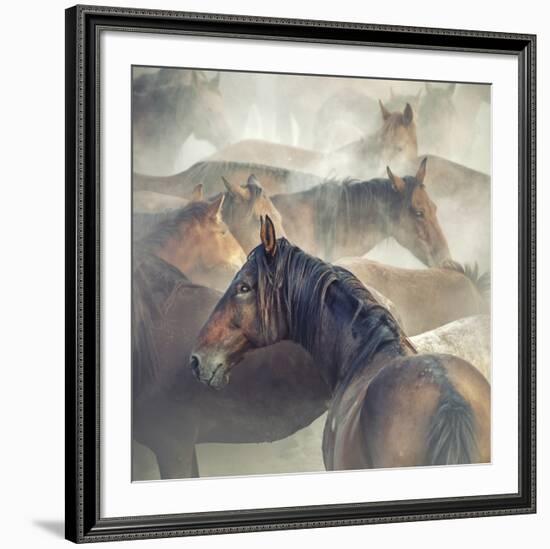 Tired Horses-Huseyin Ta?k?n-Framed Giclee Print