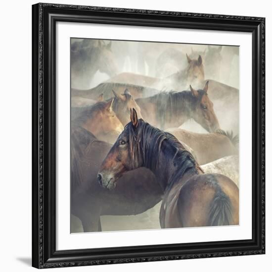 Tired Horses-Huseyin Ta?k?n-Framed Giclee Print