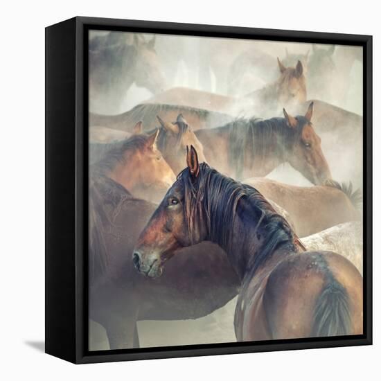 Tired Horses-H?seyin Ta?k?n-Framed Premier Image Canvas