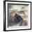 Tired Horses-H?seyin Ta?k?n-Framed Photographic Print