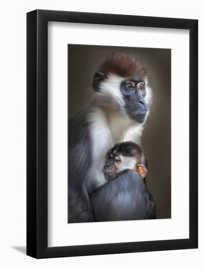 Tired-Carles Just-Framed Photographic Print