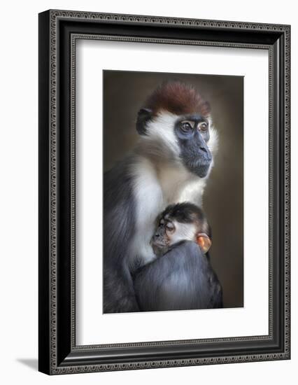 Tired-Carles Just-Framed Photographic Print