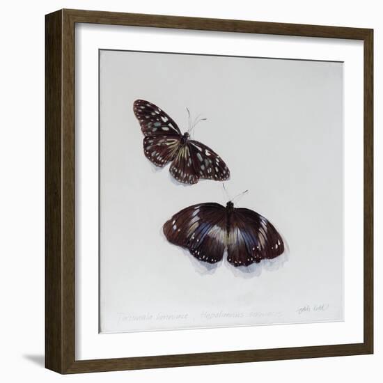 Tirumala limniace and Hypolimnia salmacis, 2014-Odile Kidd-Framed Giclee Print
