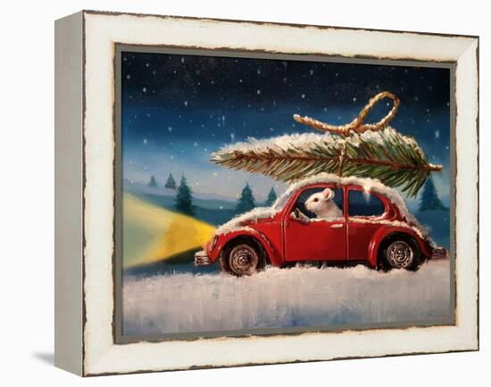 Tis The Season-Lucia Heffernan-Framed Stretched Canvas