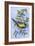 Tit in Blackthorn and Sloe-Nell Hill-Framed Giclee Print