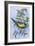 Tit in Blackthorn and Sloe-Nell Hill-Framed Giclee Print