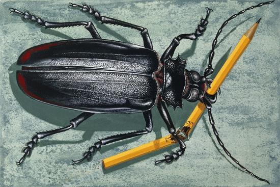 Giclee Print, , large