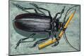 Giclee Print