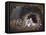 Titania endormie-Richard Dadd-Framed Premier Image Canvas