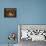 Titania Sleeping-Richard Dadd-Framed Premier Image Canvas displayed on a wall