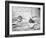 TITANIC life boats on way to CARPATHIA, 1912-null-Framed Photographic Print