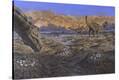 Stretched Canvas Print