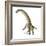 Titanosaurus Dinosaur, Artwork-null-Framed Photographic Print