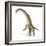 Titanosaurus Dinosaur, Artwork-null-Framed Photographic Print