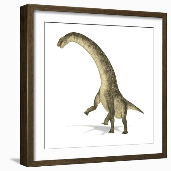 Titanosaurus Dinosaur, Artwork-null-Framed Photographic Print