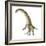 Titanosaurus Dinosaur, Artwork-null-Framed Photographic Print