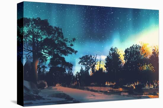 Stretched Canvas Print, , large