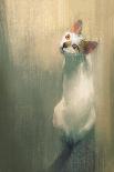 Young White Cat Looking Up,Digital Painting-Tithi Luadthong-Art Print