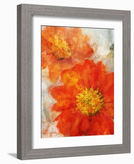 Tithonia Bloom 1-Ken Roko-Framed Art Print