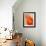 Tithonia Bloom 1-Ken Roko-Framed Art Print displayed on a wall