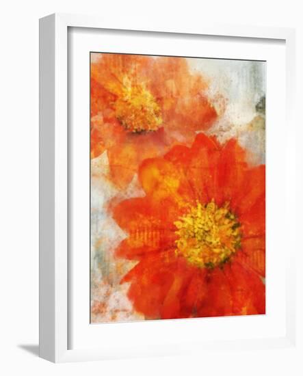 Tithonia Bloom 1-Ken Roko-Framed Art Print