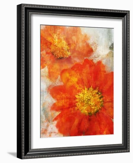 Tithonia Bloom 1-Ken Roko-Framed Art Print