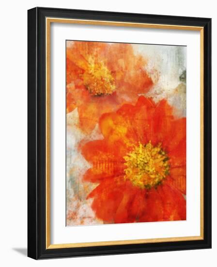 Tithonia Bloom 1-Ken Roko-Framed Art Print