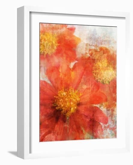 Tithonia Bloom 2-Ken Roko-Framed Art Print