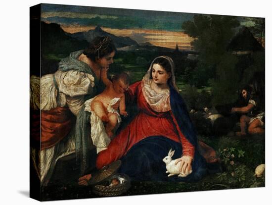 Stretched Canvas Print, , large
