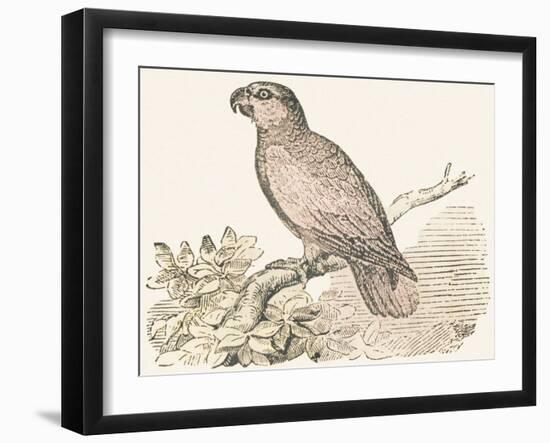 Title Page, 1850 (Engraving)-Louis Simon (1810-1870) Lassalle-Framed Giclee Print
