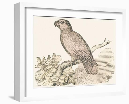 Title Page, 1850 (Engraving)-Louis Simon (1810-1870) Lassalle-Framed Giclee Print