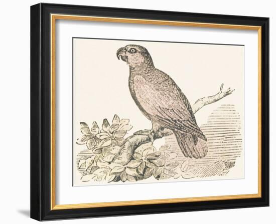 Title Page, 1850 (Engraving)-Louis Simon (1810-1870) Lassalle-Framed Giclee Print