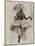 Title Page of Souvenir Program for Ballets Russes-Léon Bakst-Mounted Giclee Print