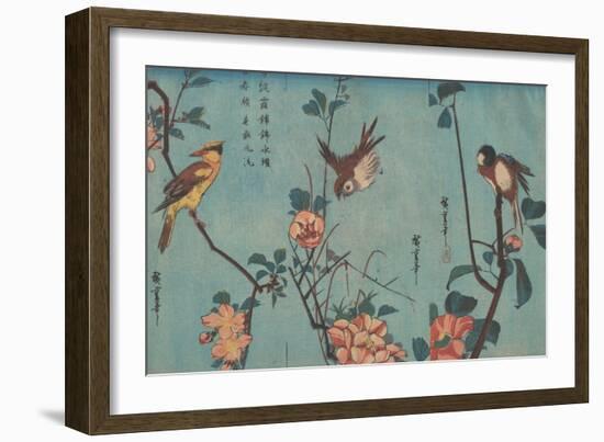 Titmouse and Camellias, Sparrow and Wild Roses and Black-naped Oriole and Cherry Blossoms, c.1833-Ando or Utagawa Hiroshige-Framed Giclee Print