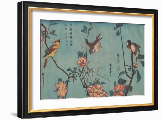 Titmouse and Camellias, Sparrow and Wild Roses and Black-naped Oriole and Cherry Blossoms, c.1833-Ando or Utagawa Hiroshige-Framed Giclee Print