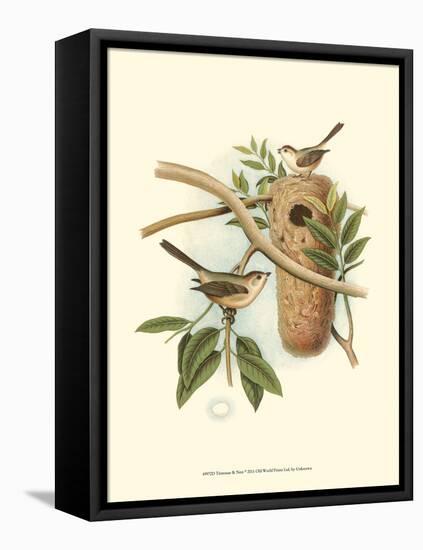 Titmouse & Nest-null-Framed Stretched Canvas