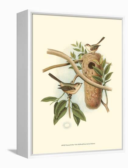 Titmouse & Nest-null-Framed Stretched Canvas