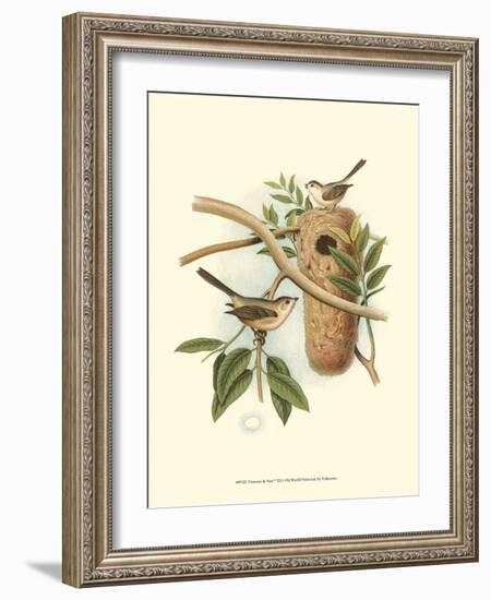 Titmouse & Nest-null-Framed Art Print