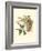 Titmouse & Nest-null-Framed Art Print